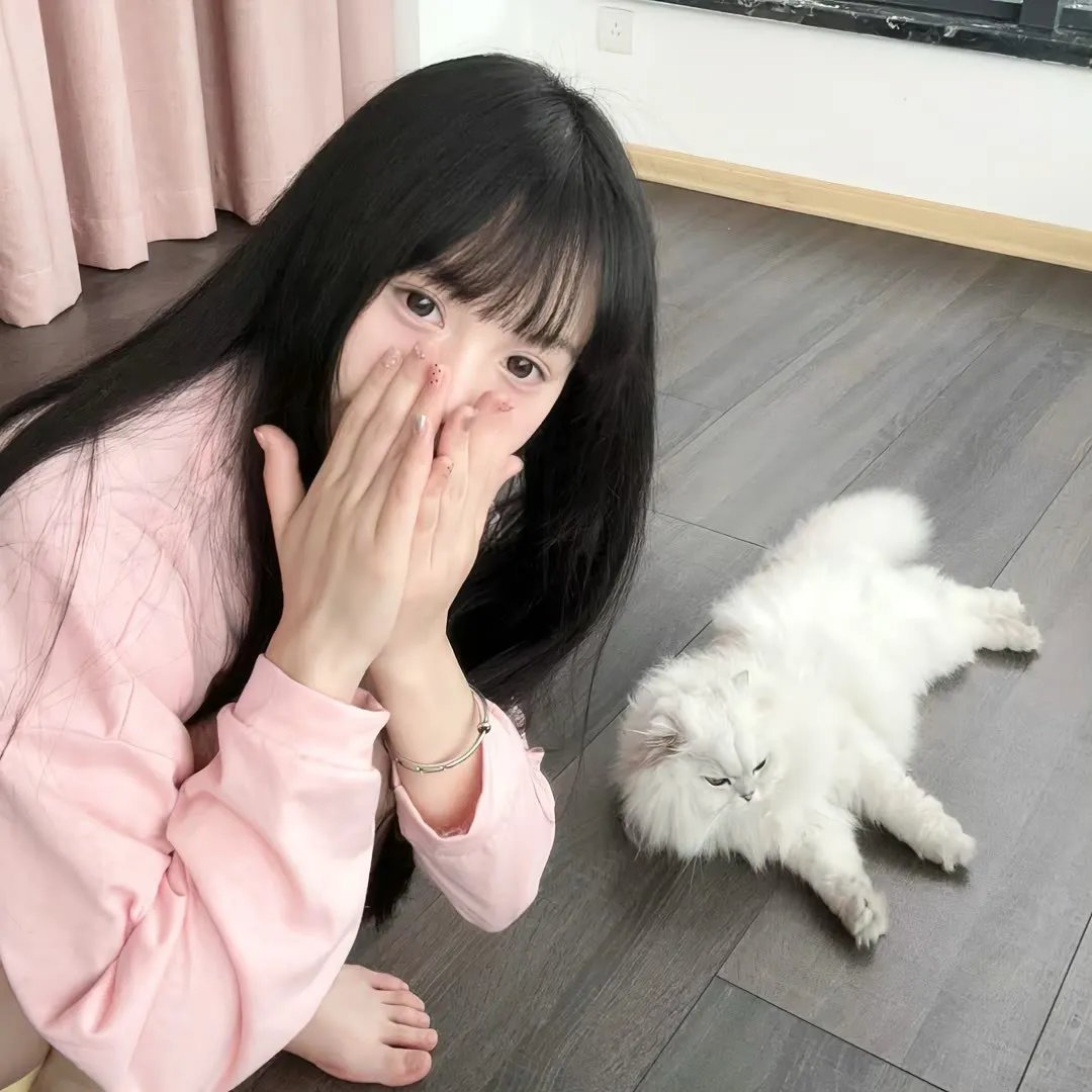 画圣